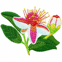 Flowers Embroidery Design 1